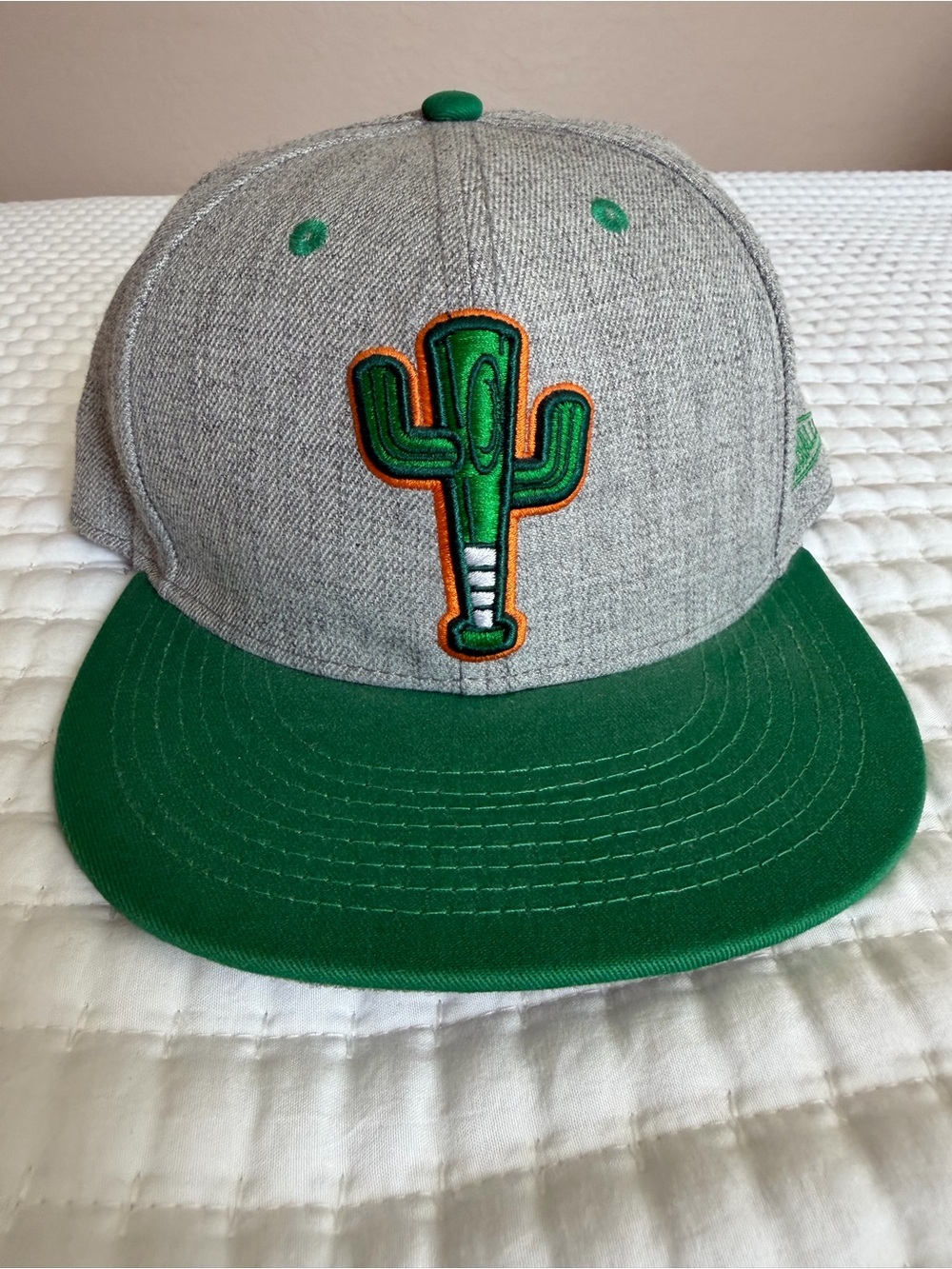 Baseballism Limited Edition Cactus League Snapback Hat